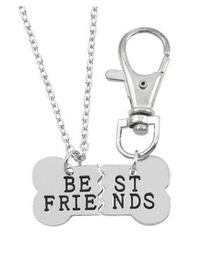 Silver Dog Tag Pendant Best Friends 2 Piece Dog Collar & Owner Matching Necklace